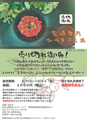 【宮崎牛のひつまぶし丼】アリア特製 売切御免シリーズ令和５年度第3弾